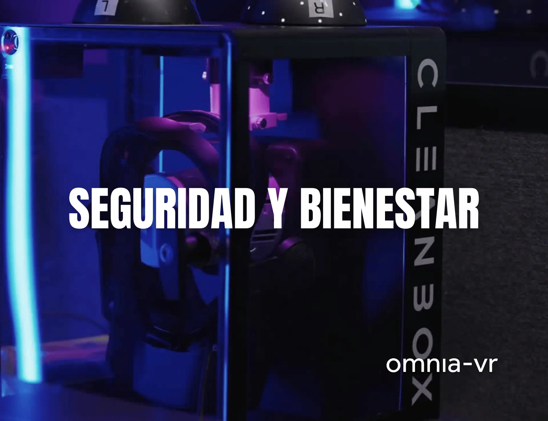 Seguridad y Bienestar