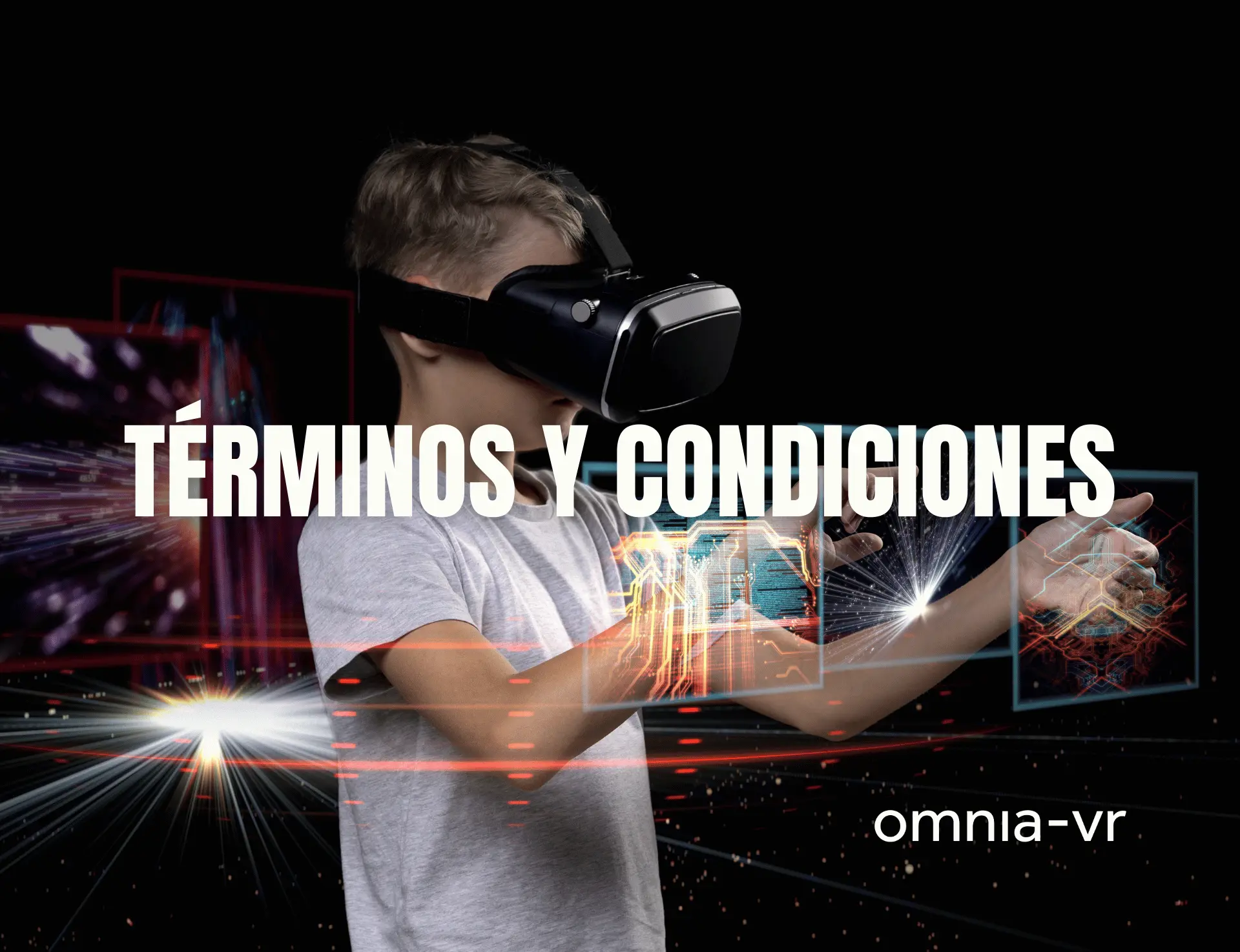 Términos y Condiciones